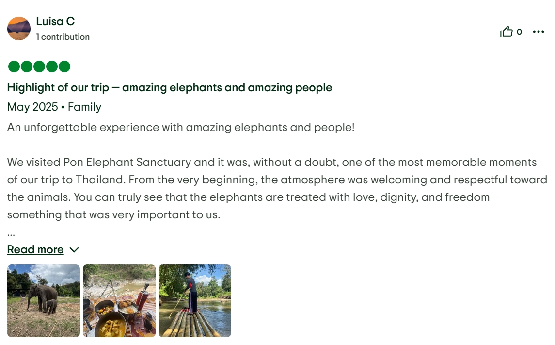 pon elephpant chiangmai thailand reviews
